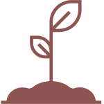 Icon of tree growing symbolising Continuous Learning